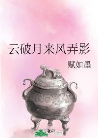 《云破月来风弄影》