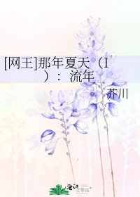 [网王]那年夏天（I）：流年