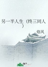 《另一半人生(终三同人)》