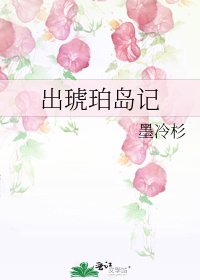 《出琥珀岛记》