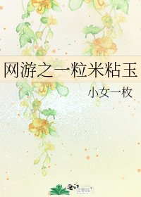 《网游之一粒米粘玉》
