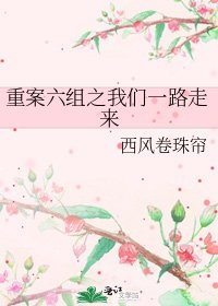 《重案六组之我们一路走来》