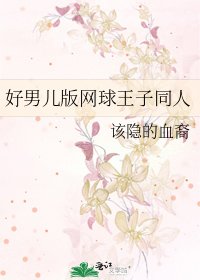 《好男儿版网球王子同人》