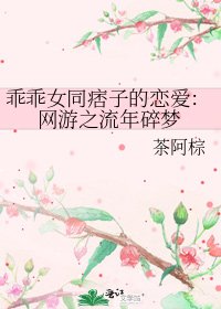 《乖乖女同痞子的恋爱:网游之流年碎梦》