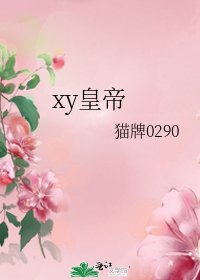 《xy皇帝》