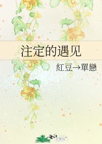 《注定的遇见》