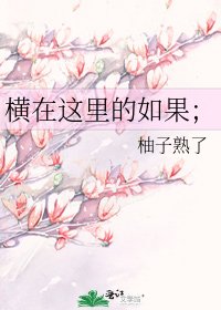 横在这里的如果；