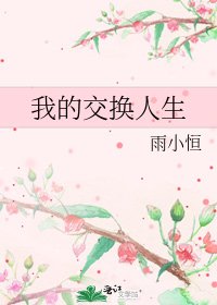 我的交换人生