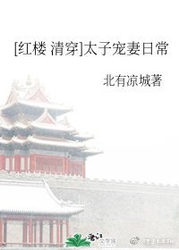 （综同人）[红楼+清穿]太子宠妻日常