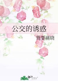 《公交的诱惑》