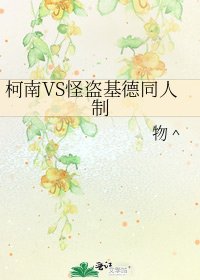 《柯南VS怪盗基德同人制》