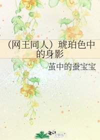 《(网王同人)琥珀色中的身影》