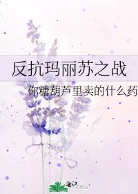 《反抗玛丽苏之战》