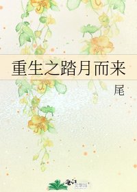 《重生之踏月而来》