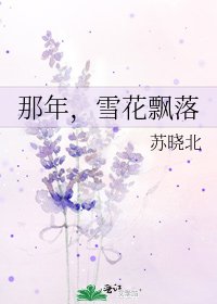 《那年,雪花飘落》
