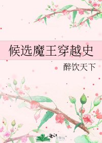 《候选魔王穿越史》
