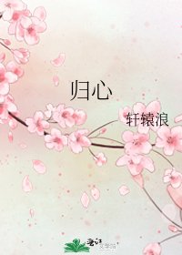 《归心》