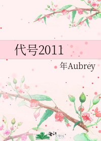 《代号2011》