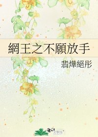 《網王之不願放手》
