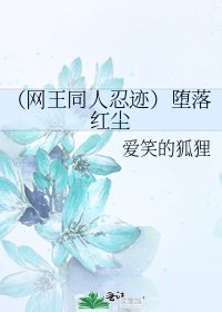 《(网王同人忍迹)堕落洪尘》