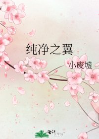 《纯净之翼》