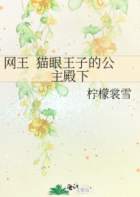 《网王 猫眼王子的公主殿下》