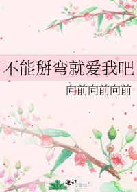 《不能掰弯就爱我吧》
