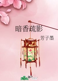 《暗香疏影》