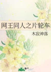 《网王同人之片轮车》