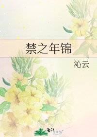 《禁之年锦》