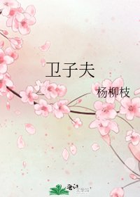 《卫子夫》