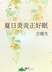 《夏日炎炎正好眠》