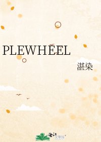 PLEWHEEL