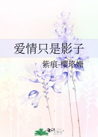 爱情只是影子