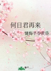《何日君再来》