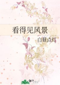 《看得见风景》