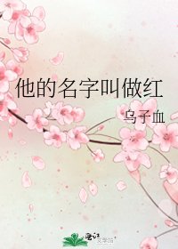 《他的名字叫做红》