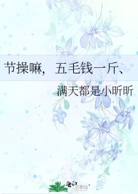 《节操嘛,五毛钱一斤、》