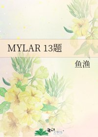 《MYLAR 13题》