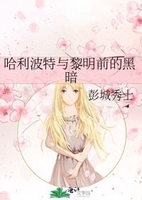《哈利波特与黎明前的黑暗》