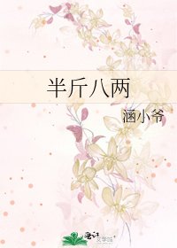 《半斤八两》