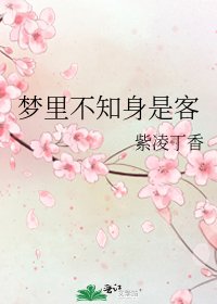 《梦里不知身是客》