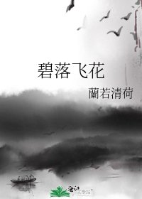 《碧落飞花》