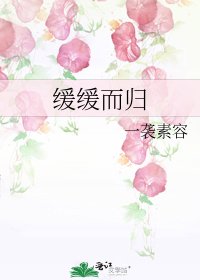 《缓缓而归》