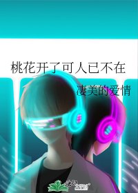 《桃花开了可人已不在》