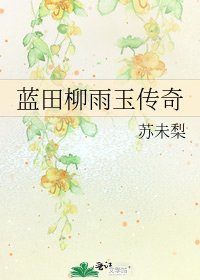 《蓝田柳雨玉传奇》