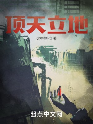 《锭天立地》