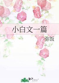 《小白文一篇》