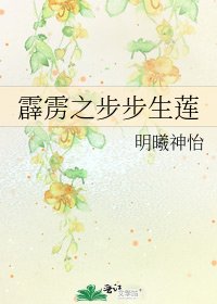 《霹雳之步步生莲》