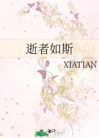 《逝者如斯》